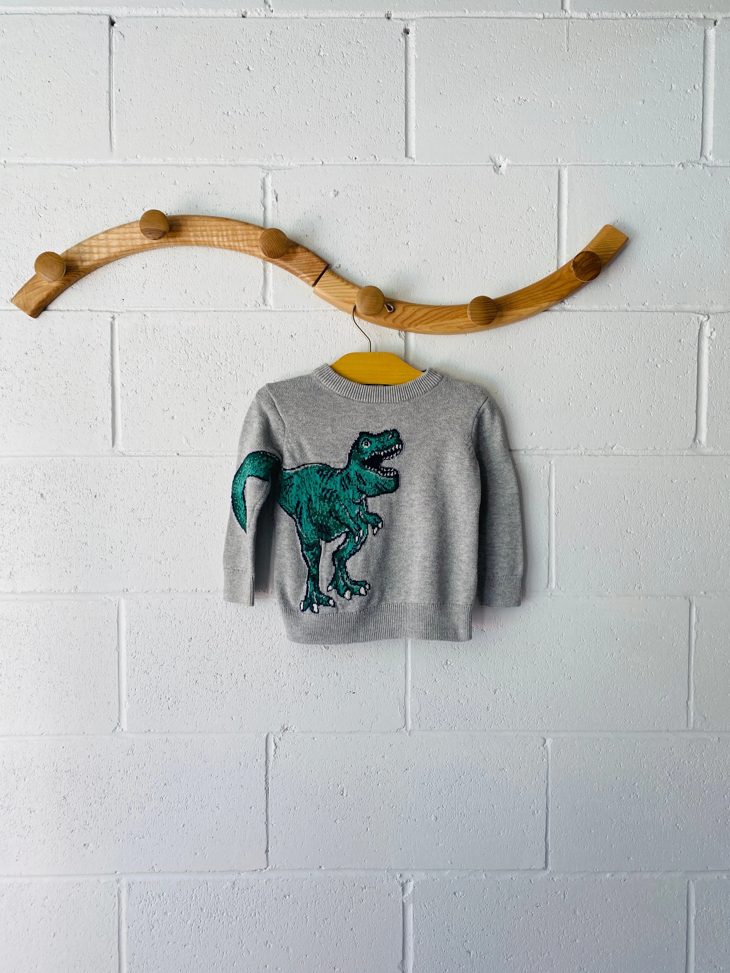 TRex Sweater, 2 years